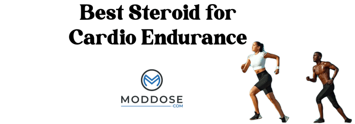 Best steroid for cardio endurance