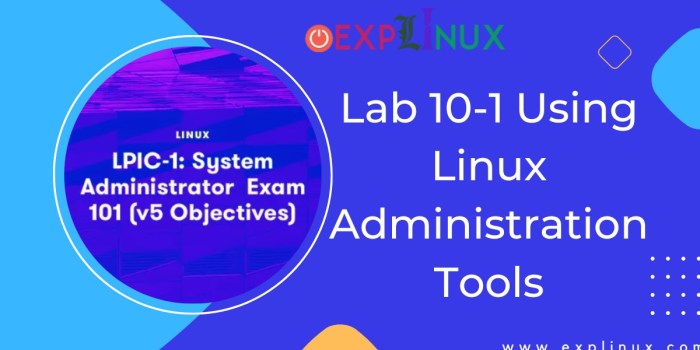 Lab 10-1 using linux administration tools