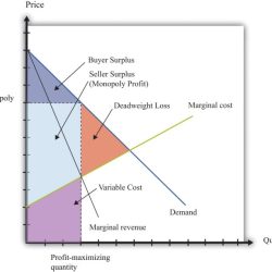 Monopoly loss deadweight graph use weight dead nfm