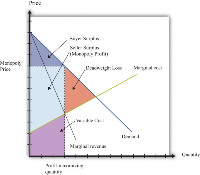 Monopoly loss deadweight graph use weight dead nfm