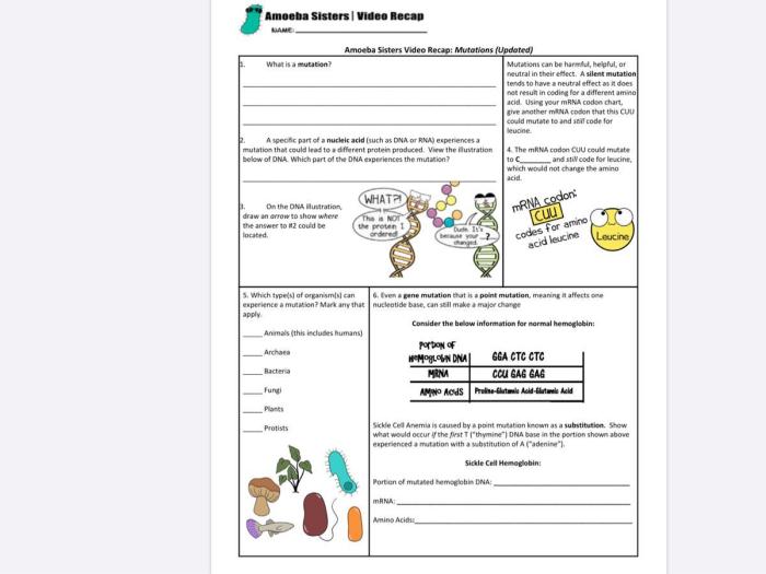 Amoeba sisters video recap mutations updated answer key pdf