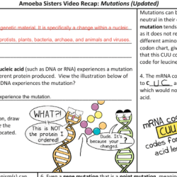 Amoeba sisters video recap mutations updated answer key pdf