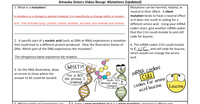 Amoeba sisters video recap mutations updated answer key pdf