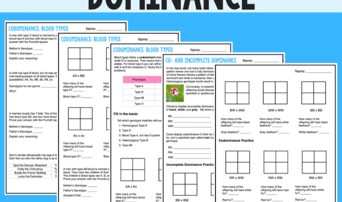 Codominance incomplete dominance practice problems answer key