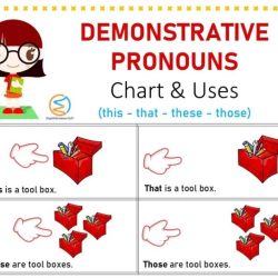 Interactive grammar tutorial: demonstrative adjectives and pronouns