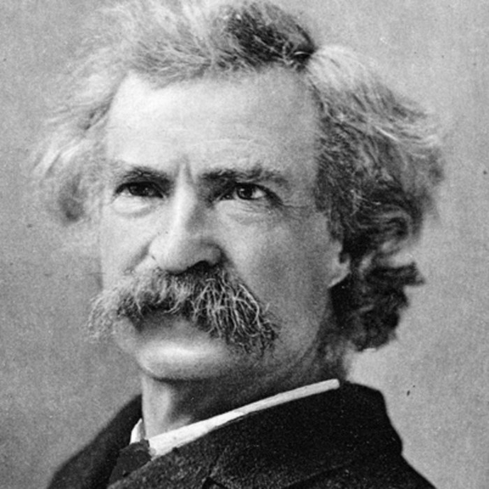 Mark twain life on the mississippi analysis