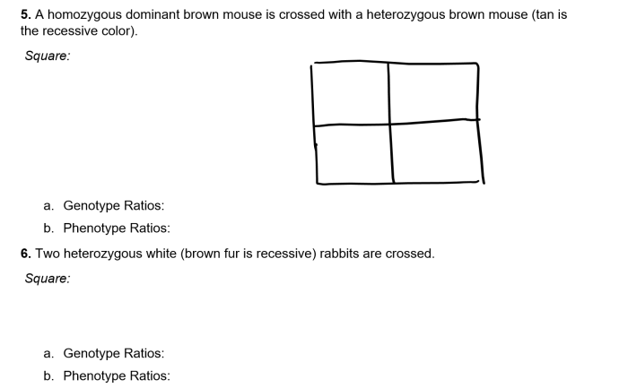 Two heterozygous red flowers white flowers are recessive are crossed